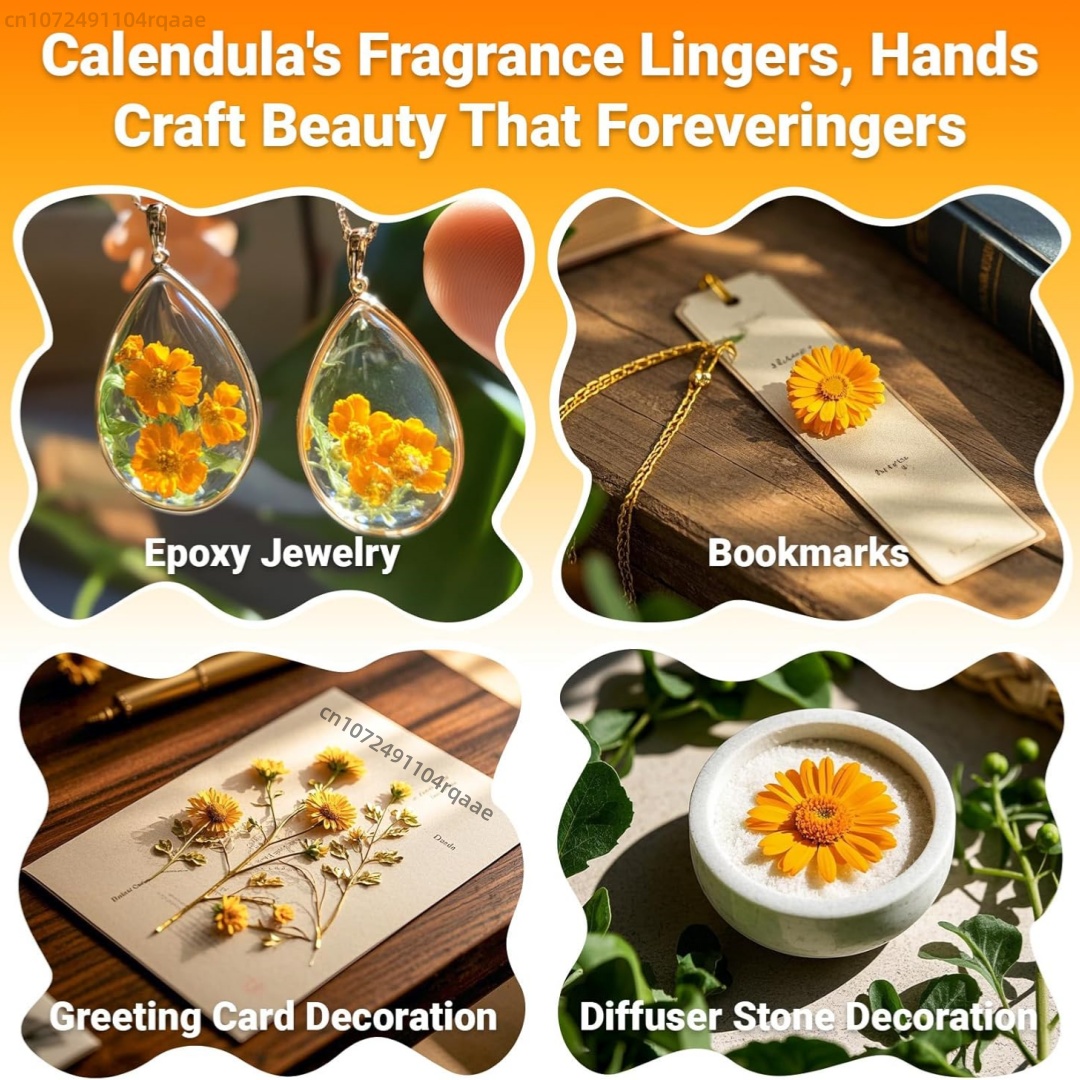 Flores de caléndula secas natu - Chamomile Tea reseña y precio